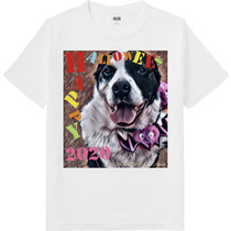 642fce0c adc8 4f44 a8f2 ac9057247ed7 64 print s