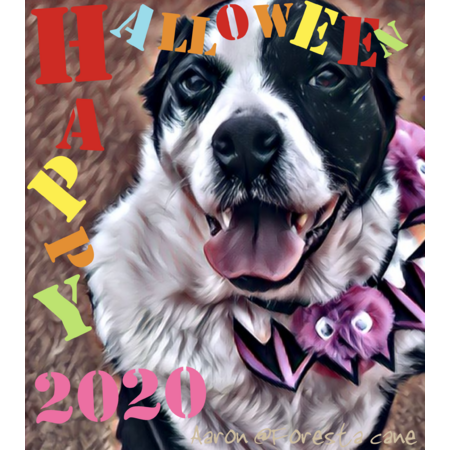 642fce0c adc8 4f44 a8f2 ac9057247ed7 s