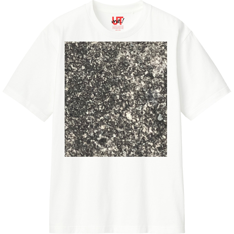 E4cf81c8 e5cf 4f10 ad13 2c25856d09e4 110 print ll