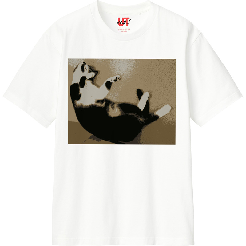 58b86321 833a 498d b7f8 348f68e709a3 110 print ll