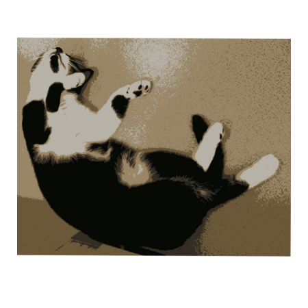 58b86321 833a 498d b7f8 348f68e709a3 s