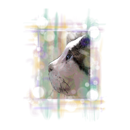 7b5e6d03 5671 48d2 b4f6 50d37045cd7b s