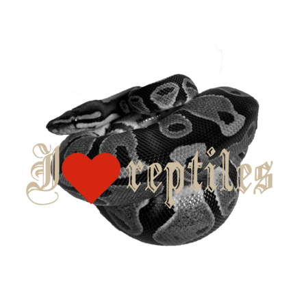 349eebe5 074e 4dc0 a5bc d2f90402df5d s