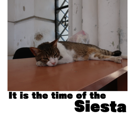 106ed95a 2a88 44bf b312 bf8fd9f8b3cf s