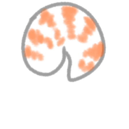 62d80f92 c11d 42b7 aabc be7a322a8fee s