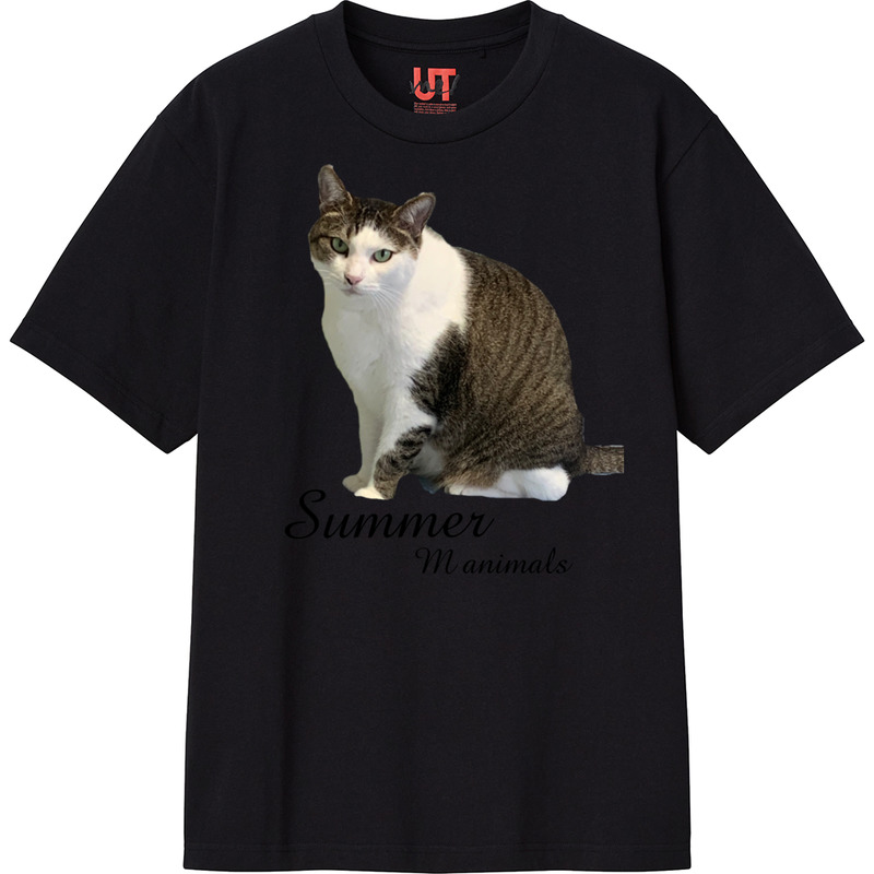 B5a5a997 0c3f 48e4 9304 8bc8a5eb80b3 111 print ll