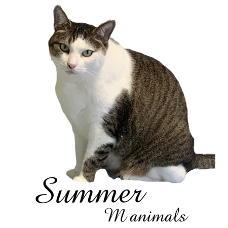 B5a5a997 0c3f 48e4 9304 8bc8a5eb80b3 s