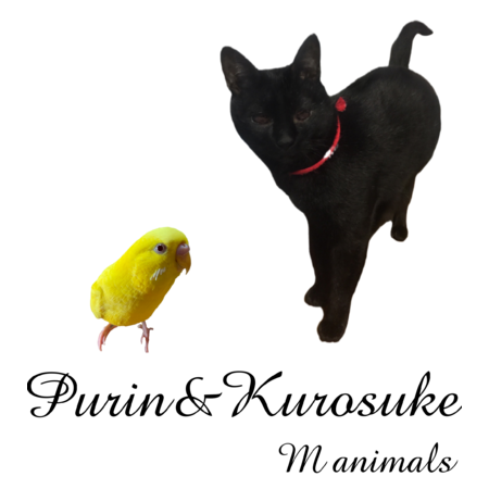 82058b3f b3f1 4779 aa57 773e89cd7c90 s