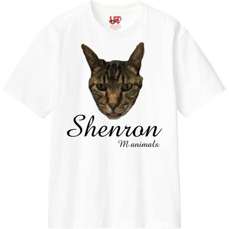 491fbafb cee2 4cc1 ad77 704e0a616bb2 110 print ll