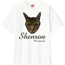 491fbafb cee2 4cc1 ad77 704e0a616bb2 110 print s