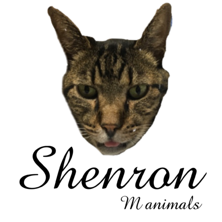 491fbafb cee2 4cc1 ad77 704e0a616bb2 s