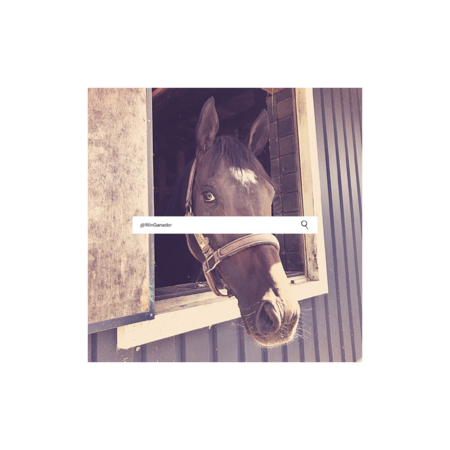 5b84e757 e5b5 4109 bb31 a272ae37a4c5 s