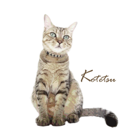 Bf3ad2b0 5b83 4b78 ad90 3baf54f090b0 s