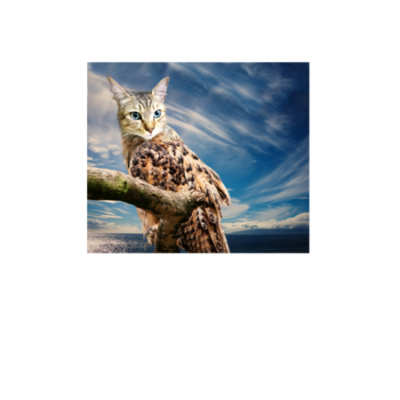 B5e645bf af55 4dfe 8647 a0924fc12c13 s