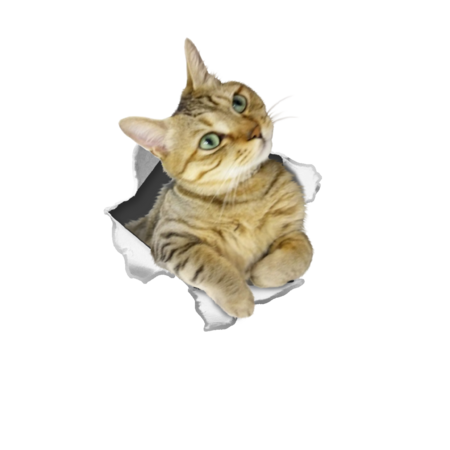 C6f60b07 edb6 4257 82ab c395e648365a s