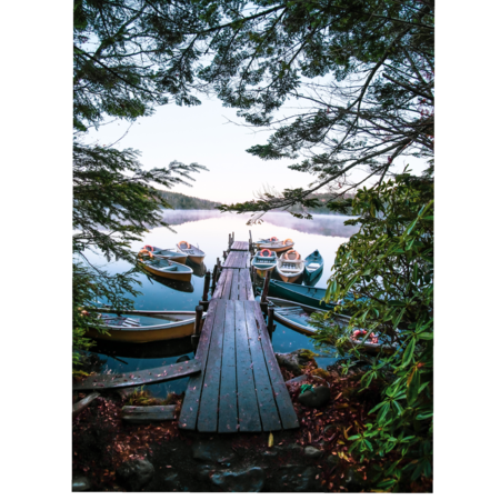 86ede129 25fb 4c09 8b98 b43964fb9c42 s