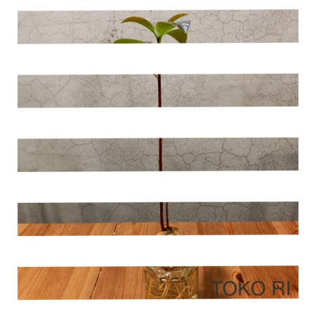 3bb9e179 4871 4a78 b993 4000e7f61cff s