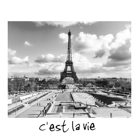 7a115c6a c410 444c b888 435256b5396c s