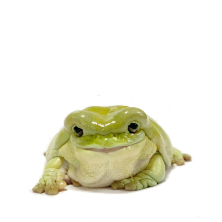 9e6f5165 9faa 4d52 948f 58e49984e1f0 s