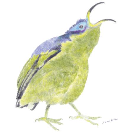 26c2b7b9 e743 4fed ac88 eff375aae9aa s