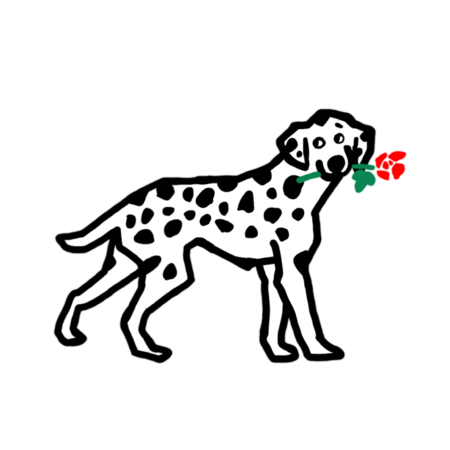 5884a7a3 d9d7 484f bac2 4bc1bcf3889f s