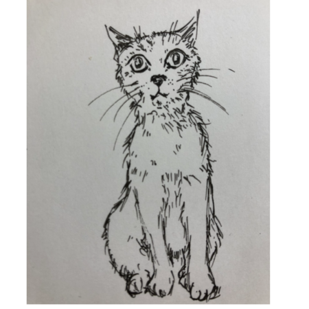 Ef5de480 b368 41d0 af25 d90864aaef8c s