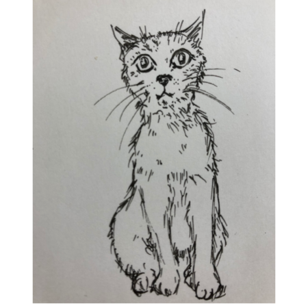 2138134b ad26 4db7 a02d fed8d9a2172a s