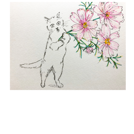 54c62db8 c160 4d0e bbab fa079540c605 s