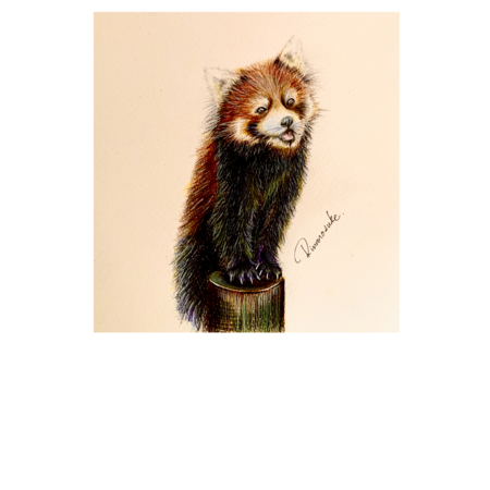 F7e3c3ca 6ce8 4db4 b1fc 883672ca1d2f s