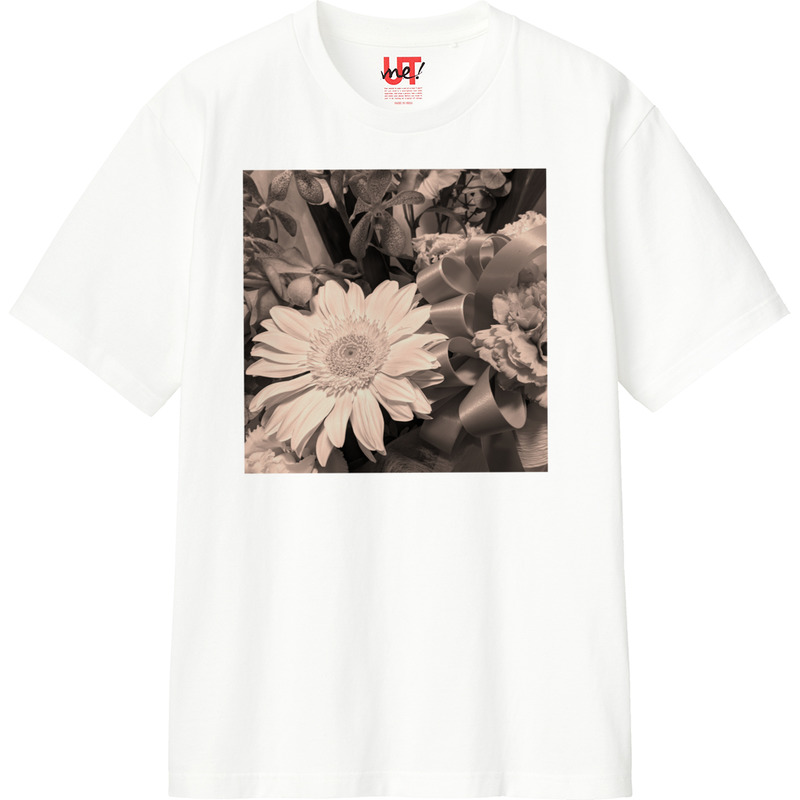 2ba9fbbb 771f 4339 8f9f 0ab583d380f9 110 print ll