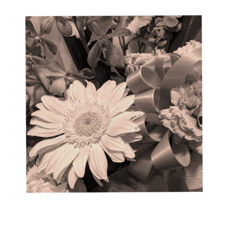 2ba9fbbb 771f 4339 8f9f 0ab583d380f9 s