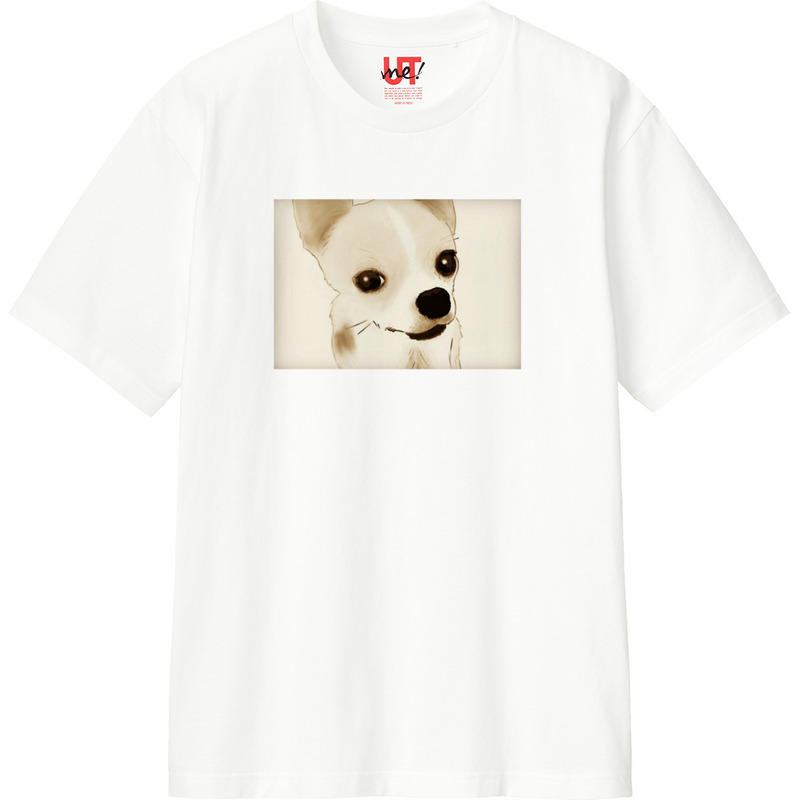 4d23477f b3fe 47d9 8a05 c96b834ee548 110 print ll