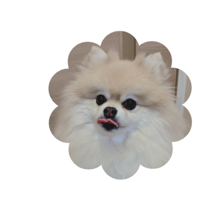 D875692d 8e2b 4f04 8f24 cbf510a458cd s