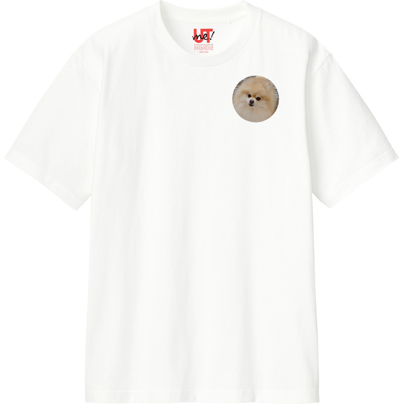 80a73af9 775b 478f bb7b 4af8fba5f7ca 110 print ll