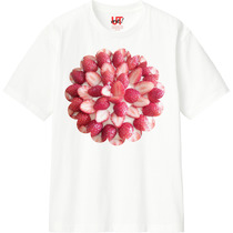 Ee4964ac 013b 4e27 b820 3689614ac307 110 print s