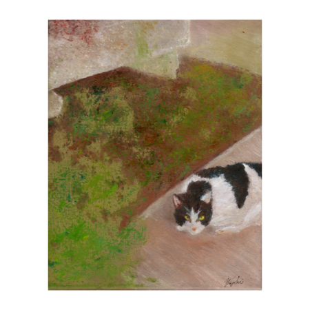 Fc7aae15 4102 47bc a8ee 0d8949c959d5 s