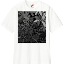 11a72f8e 6e1f 47fa 8d22 3ed67bd457a1 110 print s