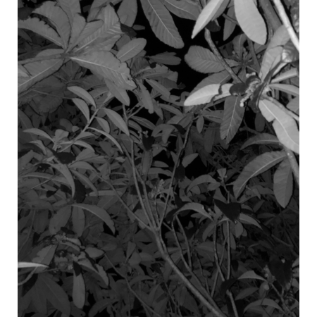 11a72f8e 6e1f 47fa 8d22 3ed67bd457a1 s