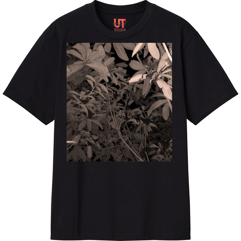 2f81b717 6384 4404 9f84 a36184a755dc 111 print ll