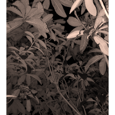 2f81b717 6384 4404 9f84 a36184a755dc s