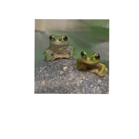 47bbffea ebf9 4a41 a768 0b37b37e9414 s