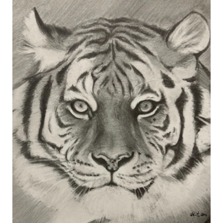 Bd8ec248 2cd4 4b94 bca7 88c029b4fa2f s