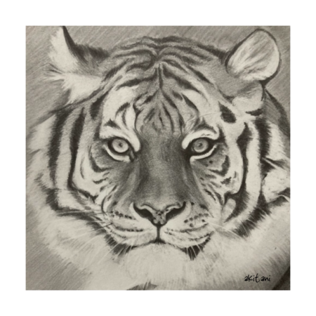 D631a4ec 90dd 4534 b924 2885dcf58e8c s