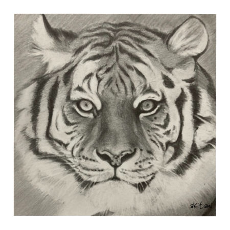 77c3a0d6 65d2 453b 81df 2592131ea131 s