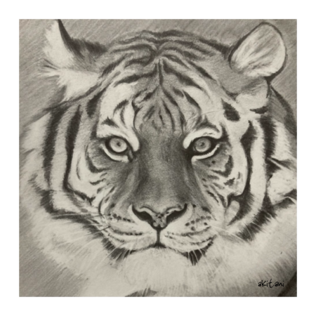 5b97f68c 516e 453b a99b 000d13cd3e6c s