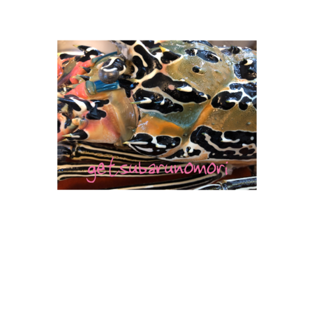 943c4623 6016 4336 965e f7938857faf1 s