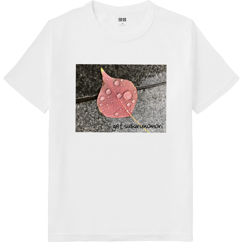 3474db66 accc 48d2 9d3d 3b857ec84343 64 print ll