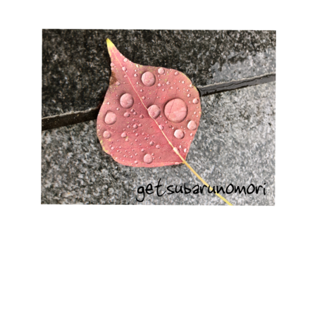 3474db66 accc 48d2 9d3d 3b857ec84343 s