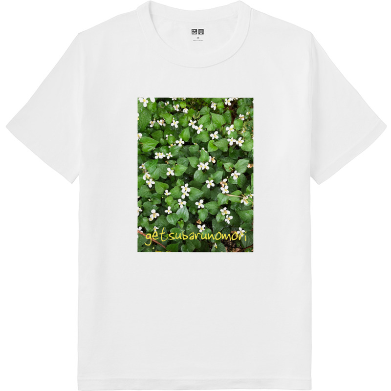 486f3caa 60bc 443b b3a3 4b4ee2ec73d2 64 print ll