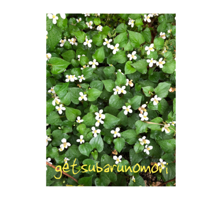 486f3caa 60bc 443b b3a3 4b4ee2ec73d2 s